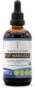 Secretos de la Tribu Pot Marigold USDA Orgánica TENIDO Extracto libre de alcohol, gotas herbales de alta potencia ¦ Hecho de 100% Certificada Pot Orgánica Marigold (Calendula, Calendula Officinalis) Flor seca (4 oz)
