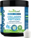 Collagen Peptides Powder Desflavored - Hidrolyzed Collagen Protein Powder Tipo 1, 2 & 3 - Grass Fed Keto Collagen Powder for Women &amp; Hombre - Pelo Vital, Piel, uñas, uniones, recuperación, 11g Por Serving