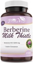 Berberine HCL 1200mg con esteto de leche y canela de Ceylán, activador metabólico de Ampk, sistema inmunológico saludable y bienestar gastrointestinal, 40 servidos, 120 cápsulas de verduras
