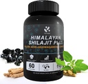 Shilajit Himalayan Suplemento 60% Fulvic Acid, 120 Vegan Capsules Supply with Pure Natural Shilajit, Ashwagandha, Ginseng Extract - High in Trace Minerals for Men Energy Support