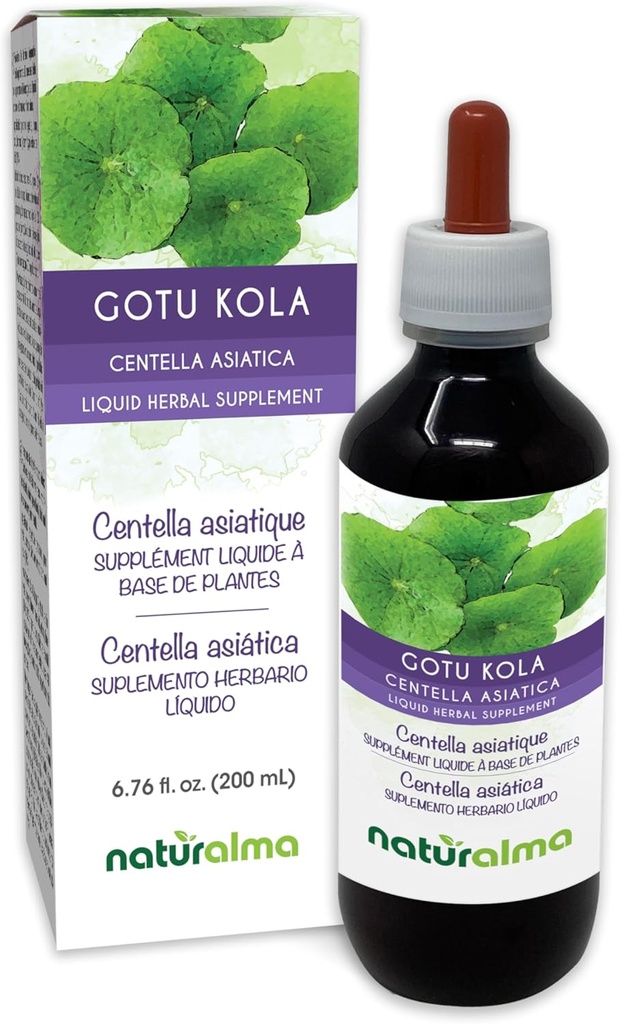 Naturalma Gotu kola (Centella asiatica) hierba Alcohol-Free Tintura - 6.76 fl oz Liquid Extract in Drops - Herbal Supplement - Vegan