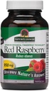 Respuesta de la naturaleza Red Raspberry Leaf ← Suplemento dietético ← Promueve la Salud Digestiva Silencio No GMO, Vegan " Kosher Certified Silencio Vegetarian Capsules 90ct