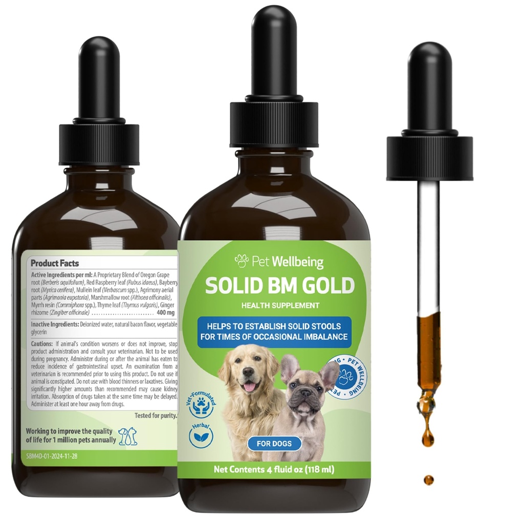 Pet Wellbeing BM Tone-Up Gold for Dogs & Cats - Supports Healthy Digestive Function, Solid Stools, Normal Bowel Movements, Bayberry - Veterinarian-Formulated Herbal Suplemento 4 oz (118 ml)
