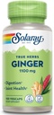SOLARAY Ginger Root 1100mg ← Digestión saludable, articulaciones y moción " Stomach Discomfort Support ¦ Whole Root ← Non-GMO & Vegan  100 VegCaps
