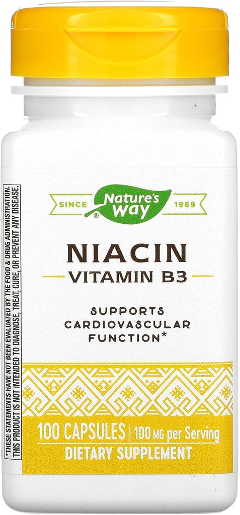 Niacin, Vitamin B3, 100 mg, 100 Capsules, Nature's Way