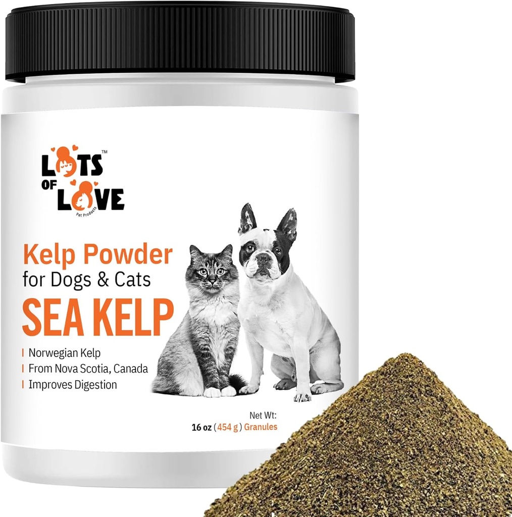 Kelp Powder para Perro &amp; Cat - Orgánica Sea Kelp Suplemento Granules Powder (16 Oz, 1 Libra)