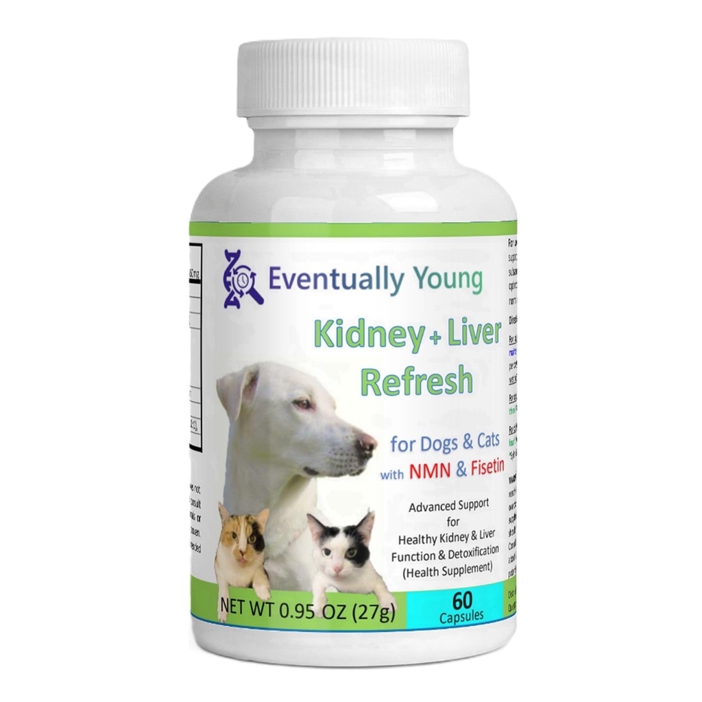 12-in-1 Kidney Support for Dog & Cat with NMN & Fisetin - Super Phosphate Binder Kidney and Liver Supplement for Feline, Canine Healthy Aging & Longevity NAD+ (60 Capsules)