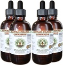 Extracto líquido libre de alcohol de canela, canela (Cinnamomum Verum) Barco seco Glycerite Hawaii Pharm Natural Herbal Suplemento 4x4 oz