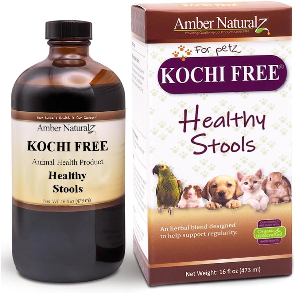Amber NaturalZ Kochi Suplemento Herbal gratuito para perros, gatos, aves, conejos y guineanos Pigs ¦ Apoya la función saludable del bolos ¦ Ayuda natural para el equilibrio digestivo TEN 16 Botella de vidrio Fluid Ounce