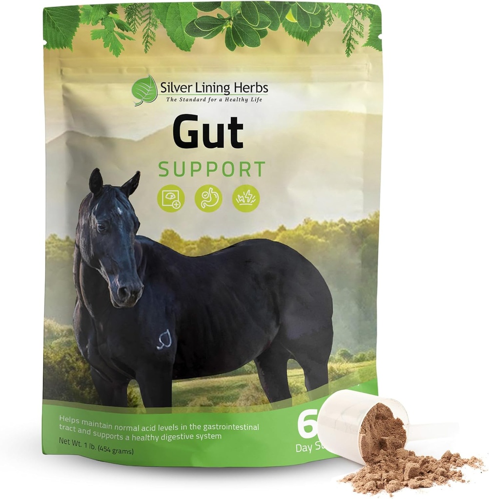 Herbs de forro de plata Gut Support Suplementos de caballos - Gut Health &amp; Digestive Supplement for Horses - Potent Digestion Support Herbal Blend of Licorice, Slippery Elm &amp; Más - 1 lb 60-Day Supply