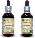 Shankhpushpi, Horseshoe Vitex (Convolvulus Pluricaulis) Dried Whole Herb Liquid Extract (Marca: HerbalTerra, Proudly Made in USA) 2x2 oz
