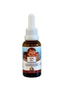 Punkin Butt Baby Ear Oil ← Ajo orgánico, Mullein, Calendula Ear Drops Safe for Infants (1 oz)