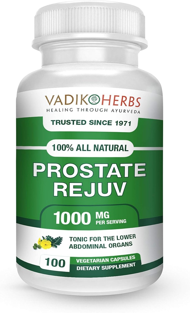 Herbs de Vadik Orgánica Certificada Rejuv Herbal Suplemento dietético ¦ Promueve Salud de la Prostata Salud y Reduce los síntomas relacionados, soporta el funcionamiento normal de la próstata (1 Pack)