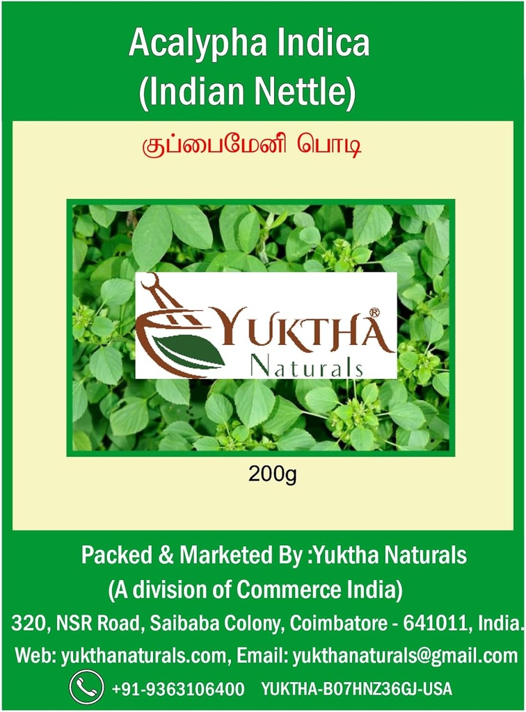 Naturales Harita Manjari Kuppaimeni/Acalypha Indica Powder/Nettle indio - 200g