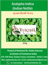 Naturales Harita Manjari Kuppaimeni/Acalypha Indica Powder/Nettle indio - 200g