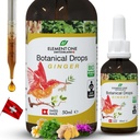 Caídas botánicas naturales – Enzimas gigantes y digestivas en una fórmula orgánica para el bienestar integral, sistema de apoyo, potenciar el alivio de la inflamación y mejorar la circulación sanguínea (50ml)