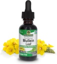Respuesta de la naturaleza Mullein Leaf ← Herbal Supplement ← Apoya la función respiratoria " Mucous Membranes TEN NO GMO " Kosher ANTE Gluten-Free " Alcohol-Free 1oz (2 Pack)