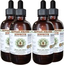 Extracto líquido libre de alcohol, Hibiscus orgánico (Hibiscus Sabdariffa) Flor seca Glicerita Hawaii Pharm Natural Herbal Suplemento 4x4 oz