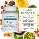 Transformación Enzimas Lypo Enzyme Suplemento con hierbas y vitaminas para la salud digestiva, 60 caps