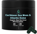 Holistic Bin Organic Sea Moss Capsules 100% Puro Caribbean Sea Moss + Dulse Seaweed ← Wild Harvested ← No Fillers TEN Rich in Antioxidants, Minerals, and Iodine (40 Capsules)