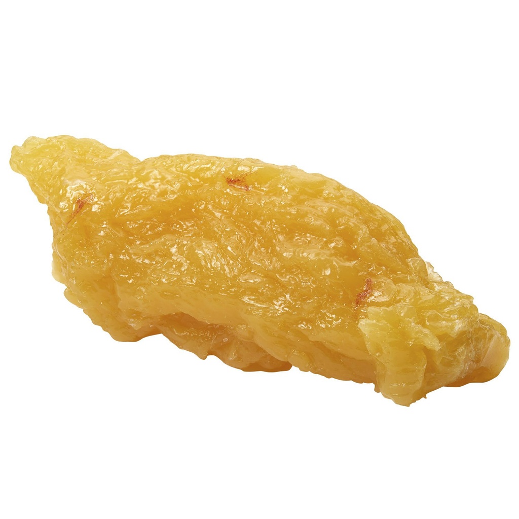 Nasco WA04313 Human Body Fat Replica, 5 lb.