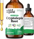 Wild & Organic Cryptolepis Tincture - Herbal Drops for Detox & Immune Support - 2-Month Supply - Liquid Cryptolepis Root Extract Drops - Vegan, Sugar & Alcohol-Free - 4 fl oz