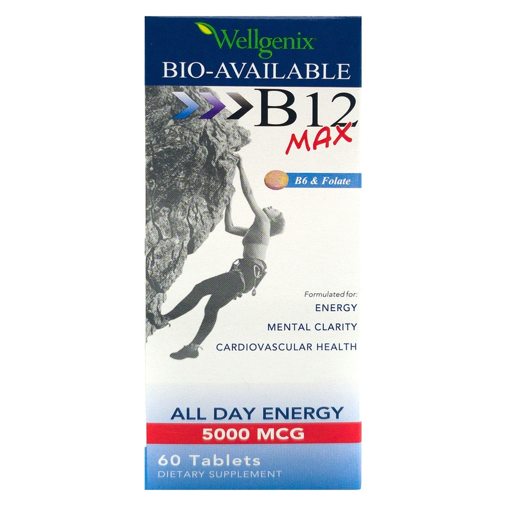 Wellgenix Bio-Available Sublingual B12 B6 Folate Vitamina Formulada para alta absorción - Suplemento Multivitamina Nutricional (60 ct) 1 Pack