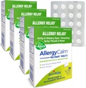 Alergia de BoironCalm Tablets 240 Cuenta, Alivio de Alergias y Hay Fiebre Síntomas de Sneezing, Runny Nose, Itchy Eyes, Throat, Allergy Calm Tabs (Formerly RhinAlergy) (Pack of 4 60ct Boxes)