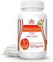 Gama Mastica Premium Capsules - Gastrointestinal Natural Suplemento de Soporte, 1000mg Por Serving - 120 cápsulas (1 botella)
