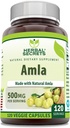 Herbal Secrets Amla Supplement TEN 500 Mg Por Serving Silencio 120 Veggie Capsules Silencio Hecho con Natural Amla Silencioso Suplemento No-GMO Silencio Gluten Libre Silencio Made in USA