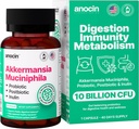Akkermansia Muciniphila + Probiótico, Postbiótico & Inulina - Gut Health Supplement for Digestion, Immune Support - 10 Billion CFU, Vegan &amp; Gluten-Free