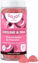 Choline prenatal &amp; DHA Gummies - Preconcepción al suplemento de vitamina Gummy postnatal para las mujeres embarazadas - Endulzado con fruta de monje - 3er test de fiesta - No GMO, Gluten Free, Vegan