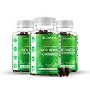 Vitamatic 3 Pack Irish Sea Moss Gummies- 3000mg Equivalent Por Serving (de Extracto 132.5 mg) - 60 Ct - Hecho con Fledderwrack & Burdock Root - Seamoss Suplemento para Tiroides, Energía, Immune Support