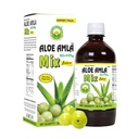 Basic Ayurveda Aloe Amla Mix Juice ← Blend of Aloe Vera &amp; Amla Fruit  First Press Virgin Juice ← Plant-Based Daily Drink ← Vegan " Non-GMO  32.46 Fl Oz (960ml)