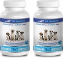 PET SUPPLEMENTS &amp; NUTRITION LLC Dog Incontinence Natural - Dog Urinary Tract Support - Natural Cranberry Solution - Vejiga Salud - Vet Recomendado - Dog Bladder Treats - 2 Bottle (180 Treats)