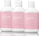 Collagen Deluxe 500ml x 3 I 8 semana Bundle I 12500 mg Marine Collagen (Type I &amp; III) I Hyaluronic Acid, Biotin, Vitamina C I Libre de Azúcar - 8 semana de suministro
