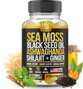 Sea Moss, Black Seed Oil, Ashwagandha, Ginger, Shilajit Gummies with Elderberry, Chlorophyll, Turmeric Bladderwrack Sea Moss Advanced Strength Formula - All in 1 Bundle - USA Made (60 Gummies)