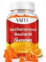 Saccharomyces Boulardii Probiotics 500mg - Gut Health Supplements & Candida Support, Probiotic for Women &amp; Men, Digestive & Immune Supports, Supplement, Non-GMO, Gluten Free, 60 Vegan Gummies