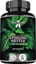 APOLLO'S HEGEMONY Stinging Nettle 500 mg - High Strength Extract DER 4:1, 90 Vegan Capsules, 3 Months Supply, Herbal Supplement to Support Cardiovascular Health