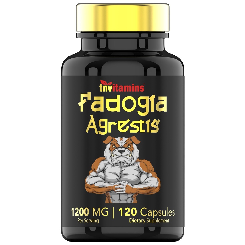 Fadogia Agrestis: 1200mg - 120 Capsules ← Fadogia Ultra-Potente Agrestis Extracto Suplemento para Hombres ANTE Energía, Poder, Fuerza, Rendimiento Atlético, " Nutrición Deportiva ANTERIOR No-OMM ANTES ¡Hecho en los Estados Unidos!