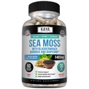 Kaya Naturals Sea Moss - Mobility Supplement for Men and Women - with Burdock Root, Irish Moss, Bladderwrack y BioPerine - for Mobility Health and Immune Boost, 60 Count