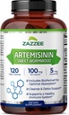 Zazzee High Absorption Artemisinin, 100 mg por cápsula, 120 cápsulas Vegan, con 5 mg BioPerina para la absorción máxima, extracto de madera dulce, 4 meses de suministro, todo natural y no GMO