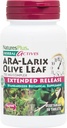 NaturesPlus Herbal Actives ARA Larix Olive Leaf - 30 Tablets - Immune Support Supplement, Extended Release Botanical Complex - Vegetarian, Gluten Free - 30 Servings