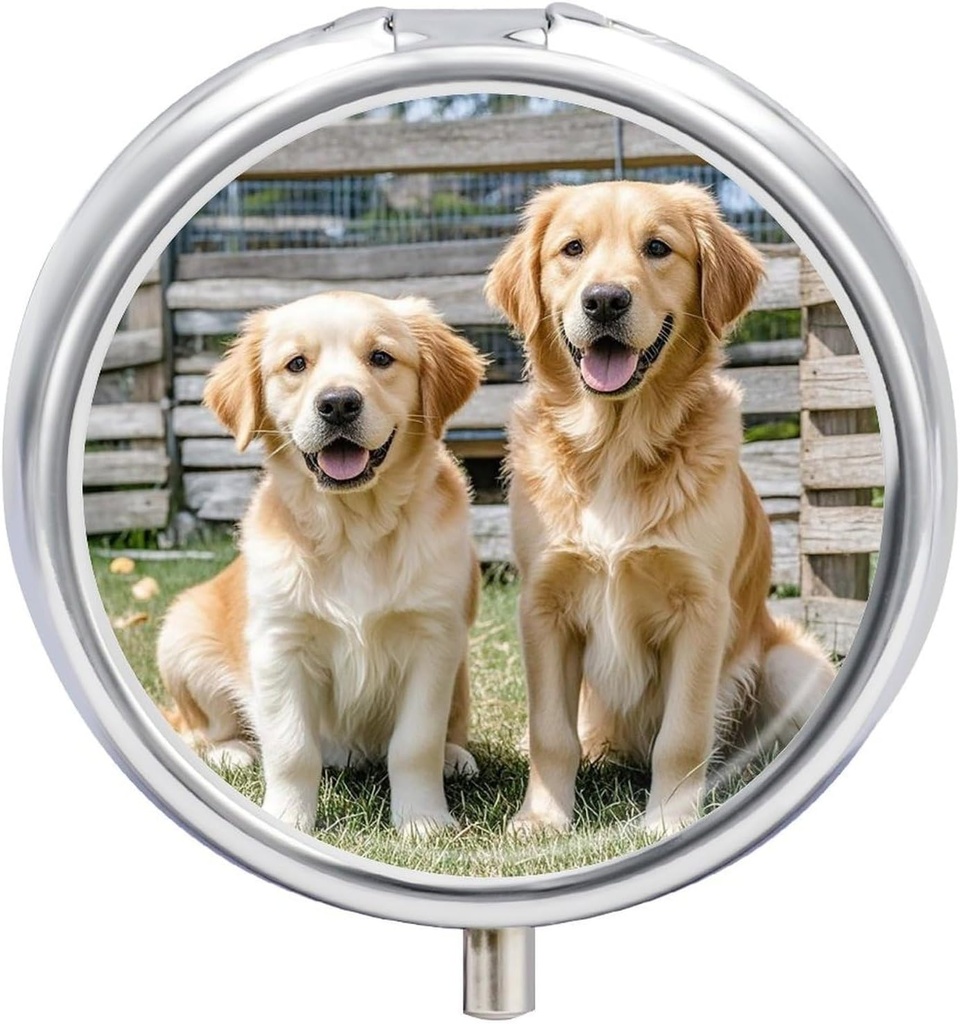 Caja redonda 3 Compartimiento Perros de retrete de oro Perros cachorros Pets Pill Box Mini Medicina Pill Organizer Pillbox de viaje portátil para envase de bolsillo Container de metal para vitaminas Suplementos de aceite de pescado