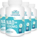 Liposomal NAD+ Suplemento 1000 mg TENIDO Pontecy más alto NAD soportar Max Absorption ← Puro NAD Suplemento de Energía y Reparación de ADN, Defensa del envejecimiento, Función cerebral