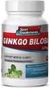 Suplementos cerebrales para la memoria y el foco - Ginkgo BILOBA 120MG - Gingko biloba Planta, Suplementos de enfoque para adultos, Gingko biloba Suplementos, Ginko biloba Pills Natural, Suplemento de memoria - 1B 60 Caps