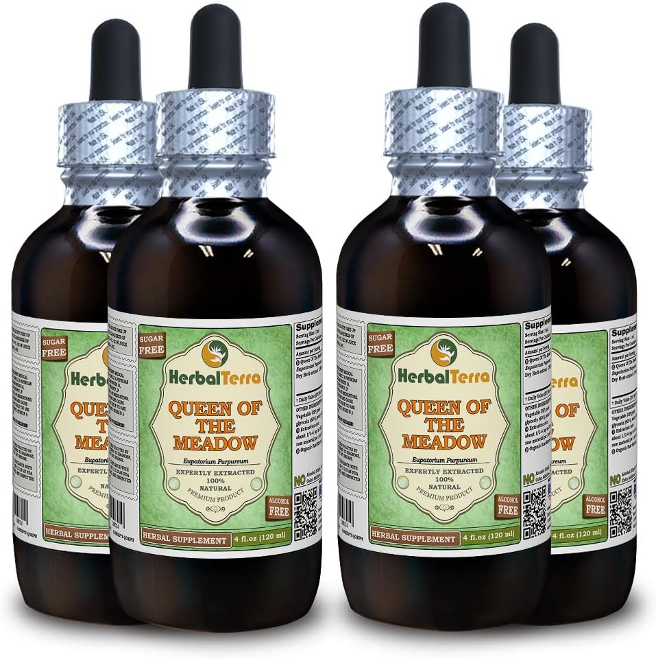 Queen of The Meadow (Eupatorium Purpureum) Glycerite, Organic Dried Herb Alcohol-Free Liquid Extract (Brand Name: HerbalTerra, Proudly Made in USA) 4x4 fl.oz (4x120 ml)
