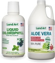 Land Art Aloe Vera Juice - Pomegranate Flavored - Cold Processed - Inner Filet from Organic Fresh Leaves - 64floz + Liquid Chlorophyll Mint Flavored - Cold Extracted from Wild Non-GMO Alfalfa - 16floz