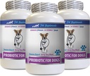 Bueno y buena diarrea de perros - PROBIOTICS for Dogs - Gut saludable - Parar la diarrea de gases y mal aliento - picante - Probióticos para perros Diarrea - 3 Botellas (180 Treats)