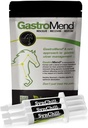 SynChill 3 Pack + GastroMend Bundle for Horses - Soporte integral de salud de estómago, ayudas en el alivio del Ulcer Gástrico, promueve la calma " Focus " , Todo Natural, Costo Efectivo